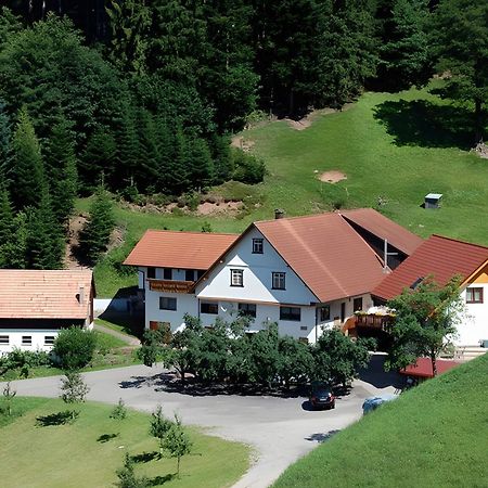 Holderstanzenhof Apartment Bad Peterstal-Griesbach Exterior photo