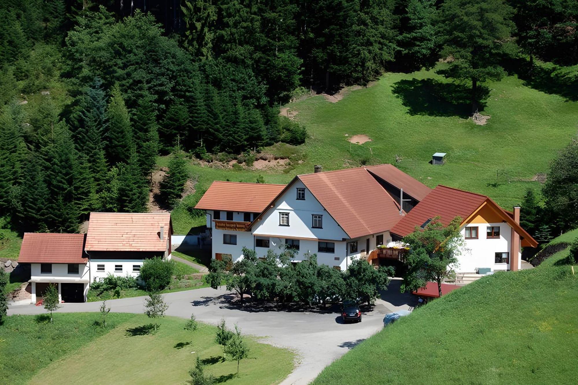 Holderstanzenhof Apartment Bad Peterstal-Griesbach Exterior photo